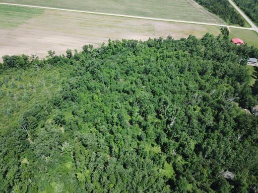 TBD2 Boot Lake Road SW, Bemidji, MN 56601