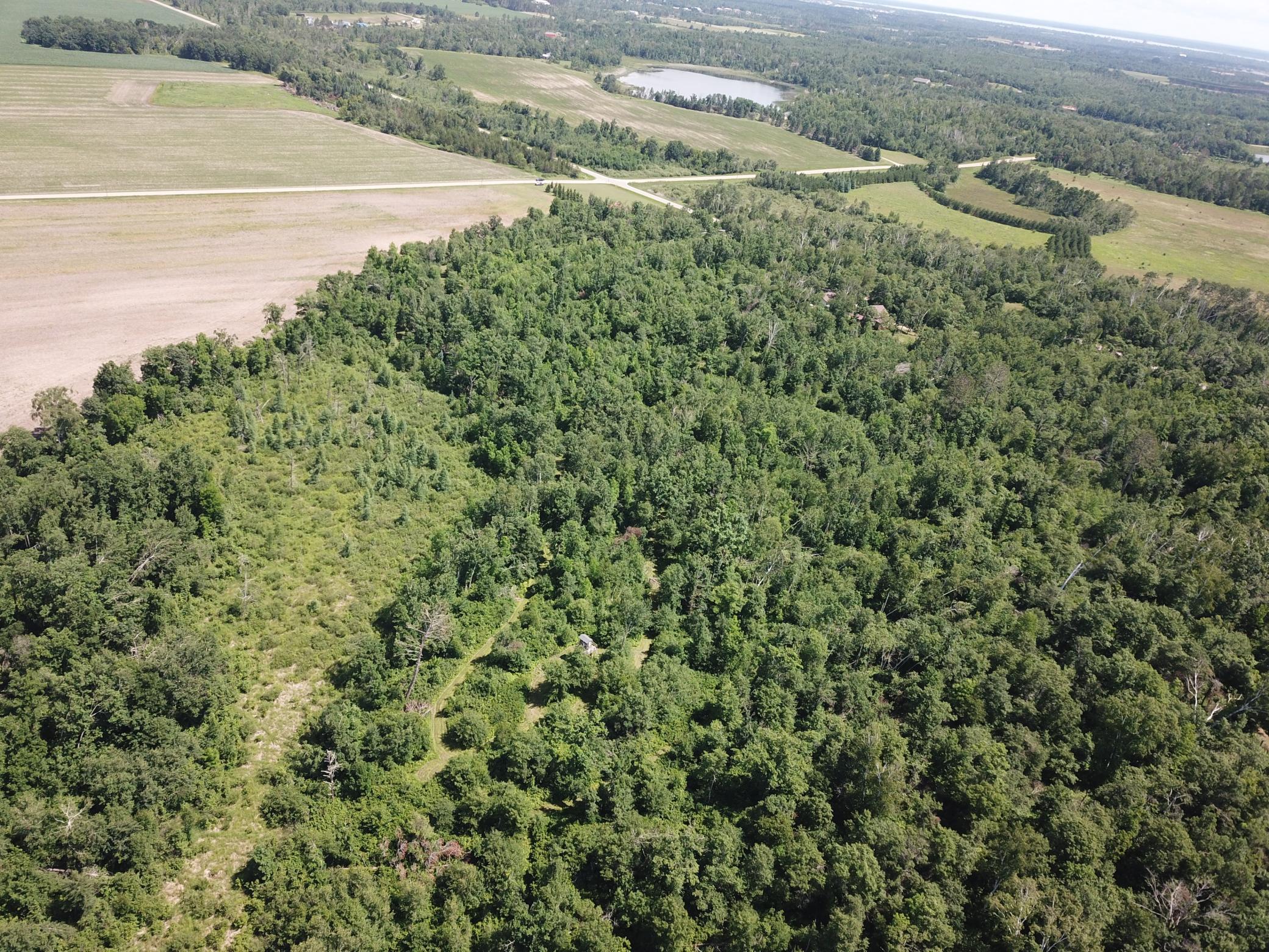 DJI_0019.JPG