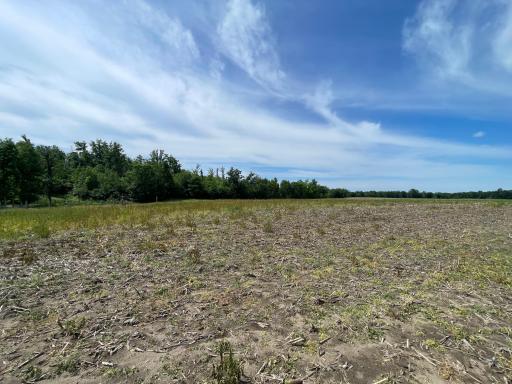 TBD2 Boot Lake Road SW, Bemidji, MN 56601