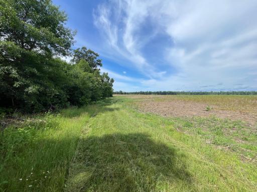 TBD2 Boot Lake Road SW, Bemidji, MN 56601