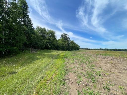 TBD2 Boot Lake Road SW, Bemidji, MN 56601