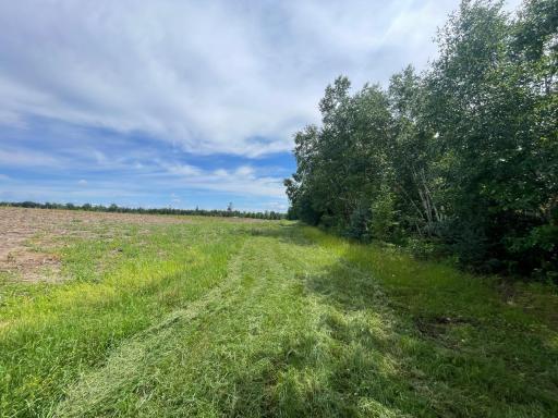 TBD2 Boot Lake Road SW, Bemidji, MN 56601