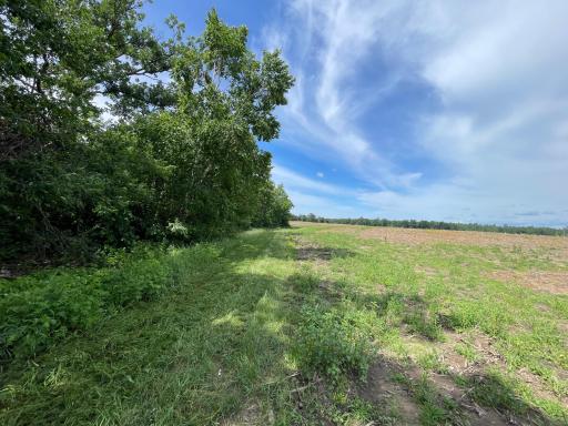 TBD2 Boot Lake Road SW, Bemidji, MN 56601