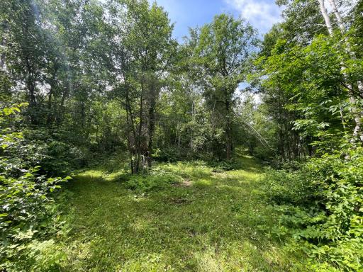 TBD2 Boot Lake Road SW, Bemidji, MN 56601