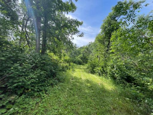 TBD2 Boot Lake Road SW, Bemidji, MN 56601