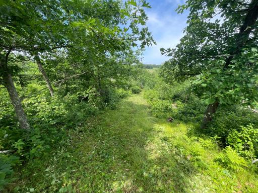 TBD2 Boot Lake Road SW, Bemidji, MN 56601
