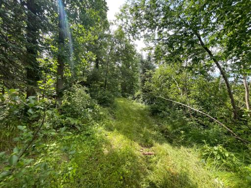 TBD2 Boot Lake Road SW, Bemidji, MN 56601