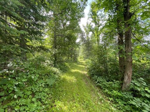 TBD2 Boot Lake Road SW, Bemidji, MN 56601