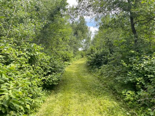 TBD2 Boot Lake Road SW, Bemidji, MN 56601