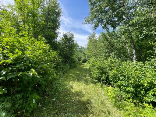 TBD2 Boot Lake Road SW, Bemidji, MN 56601
