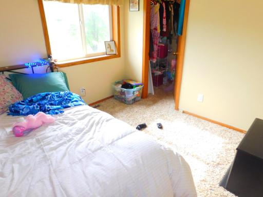 20042 Wild Rice Drive NE, Wyoming, MN 55092