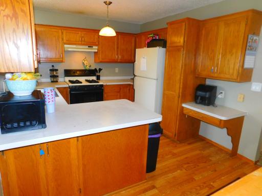 20042 Wild Rice Drive NE, Wyoming, MN 55092