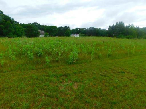 20042 Wild Rice Drive NE, Wyoming, MN 55092