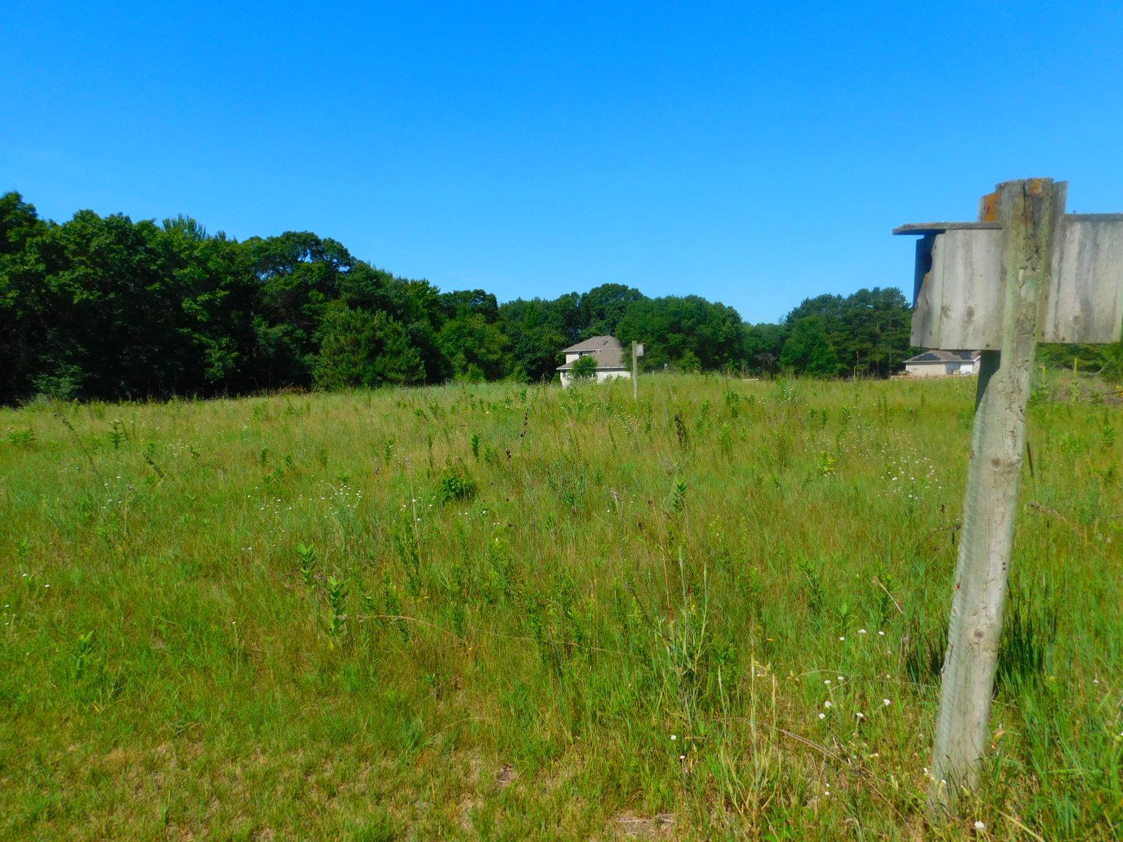 DSCN5038.JPG