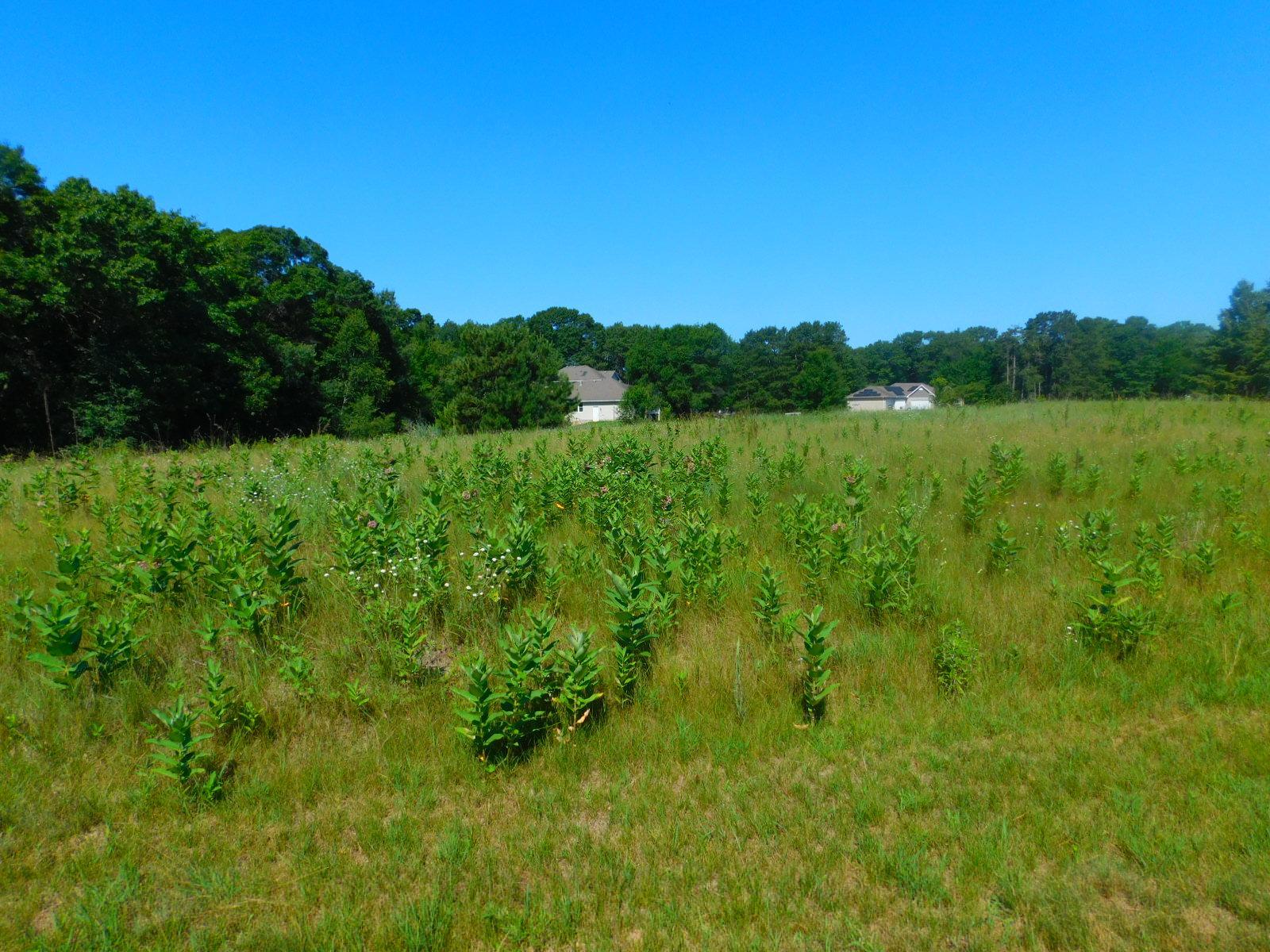 DSCN5036.JPG