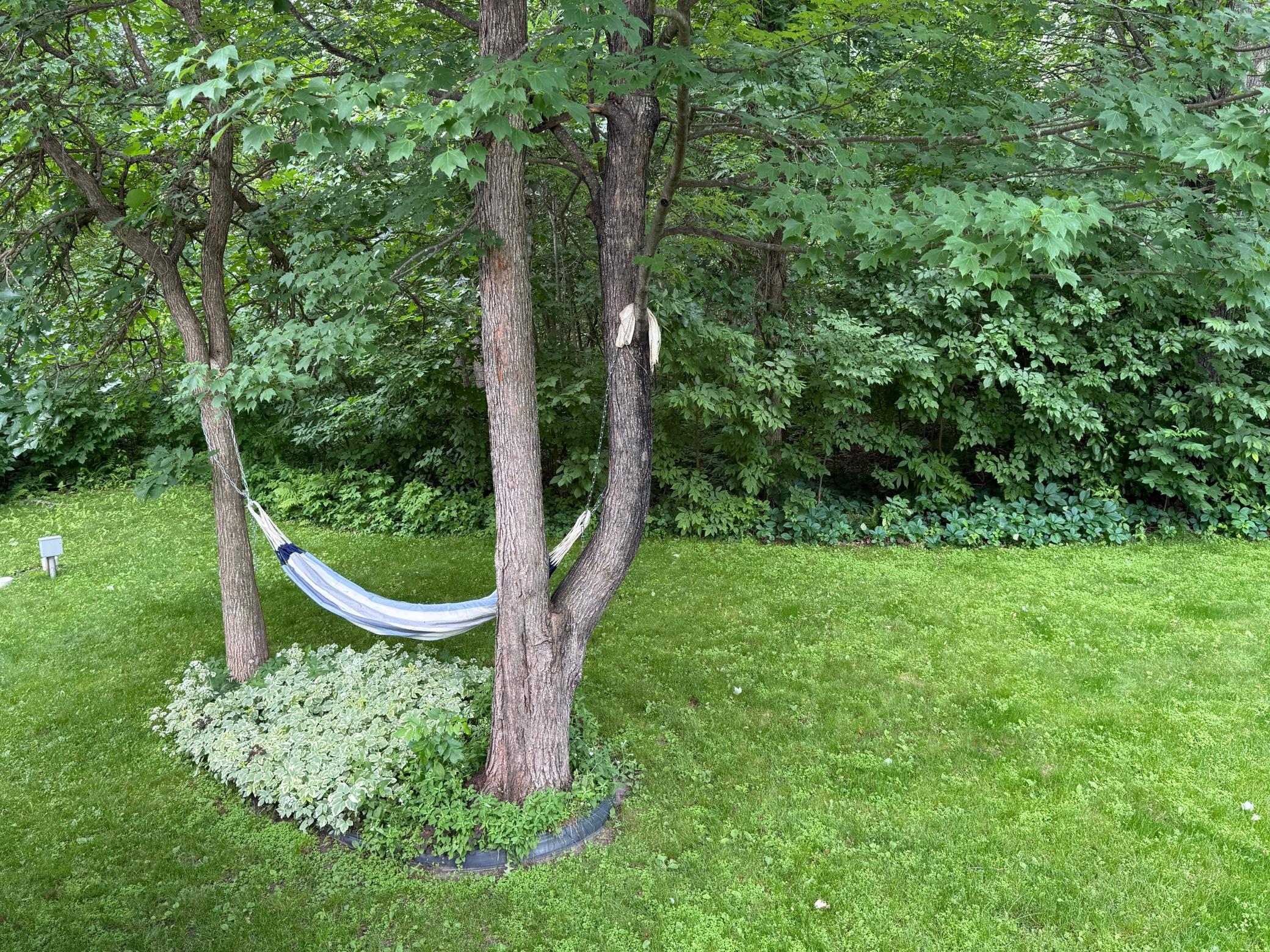Yard