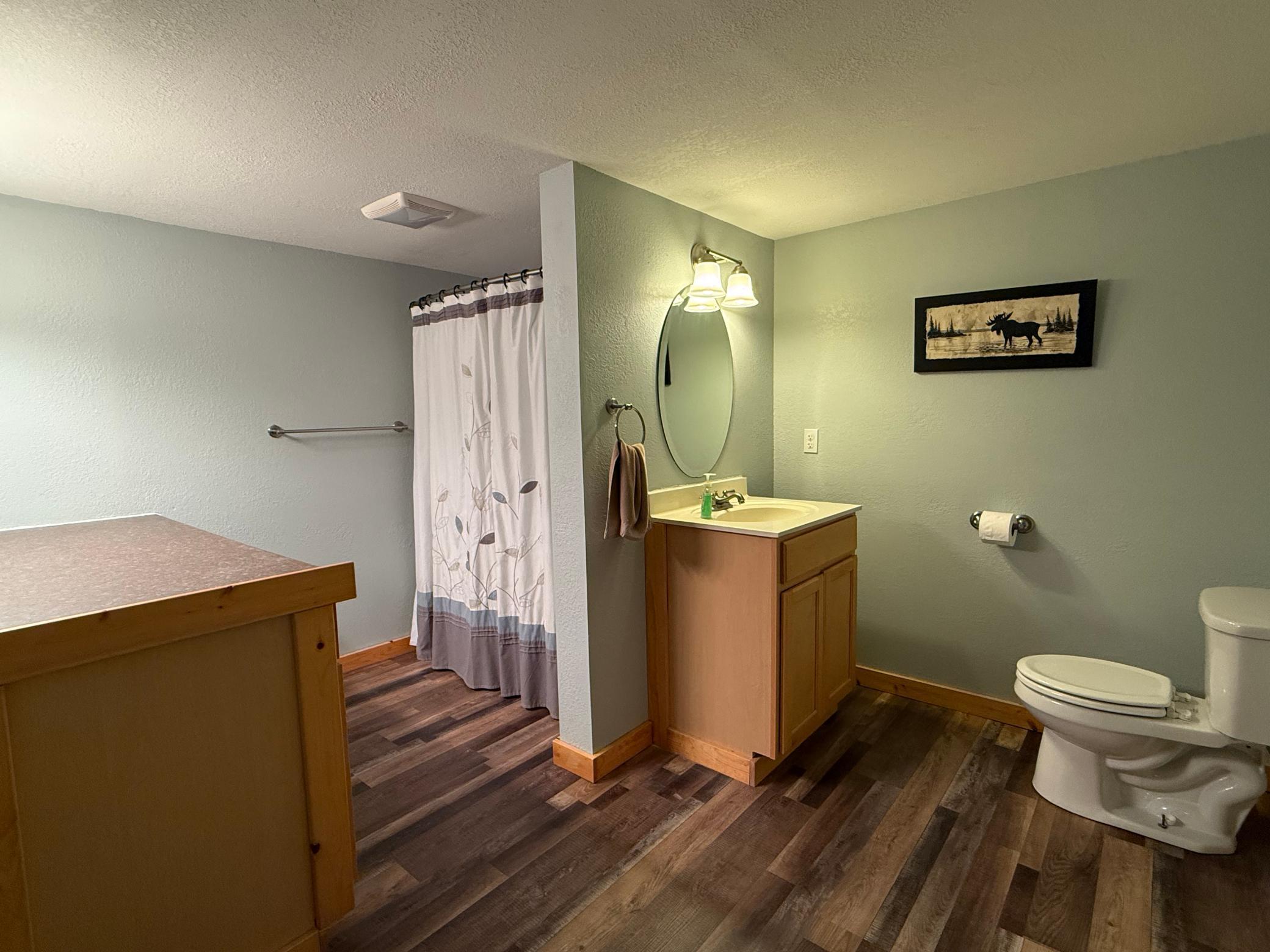 Lower level bathroom