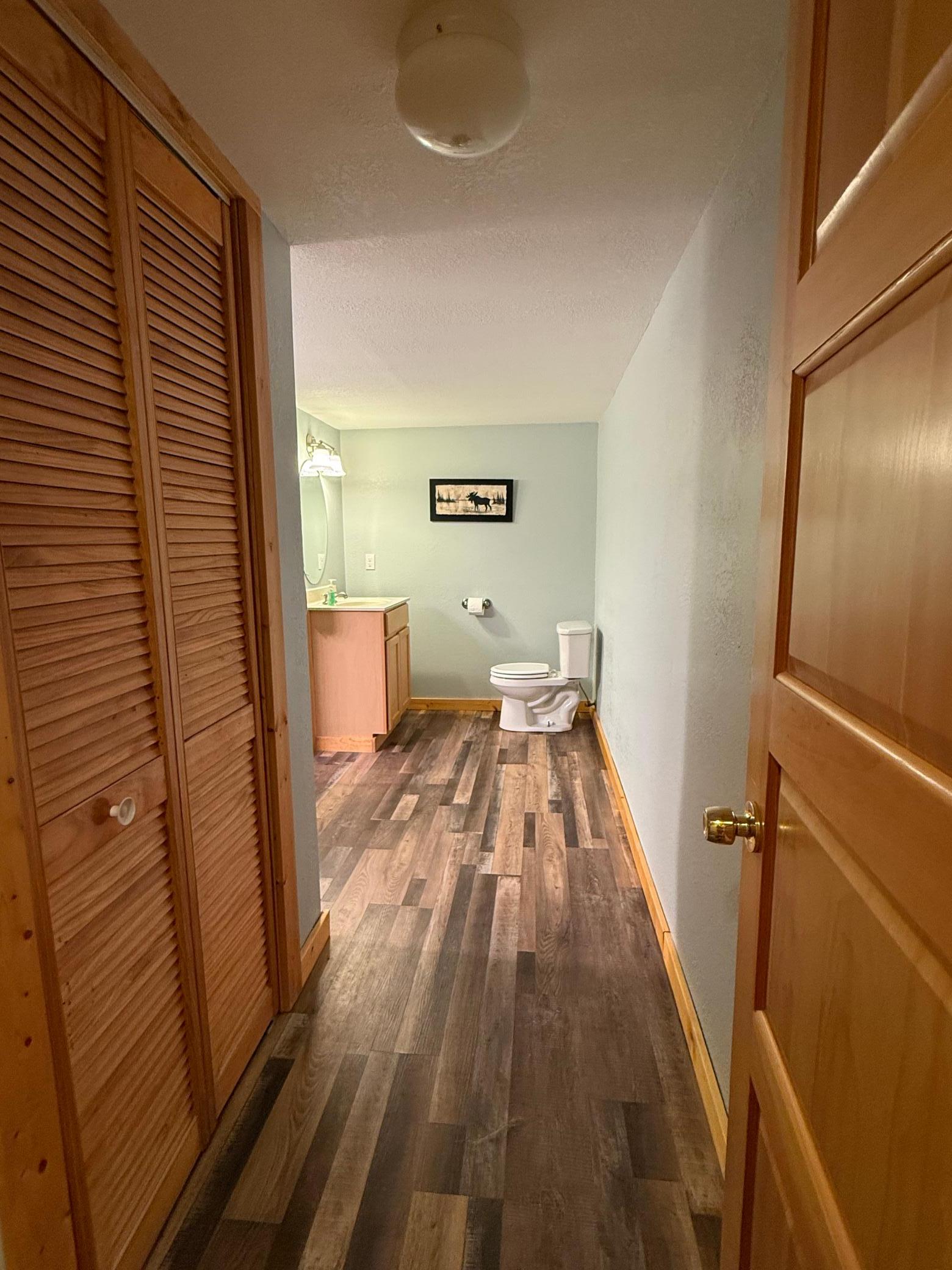 Lower level bathroom