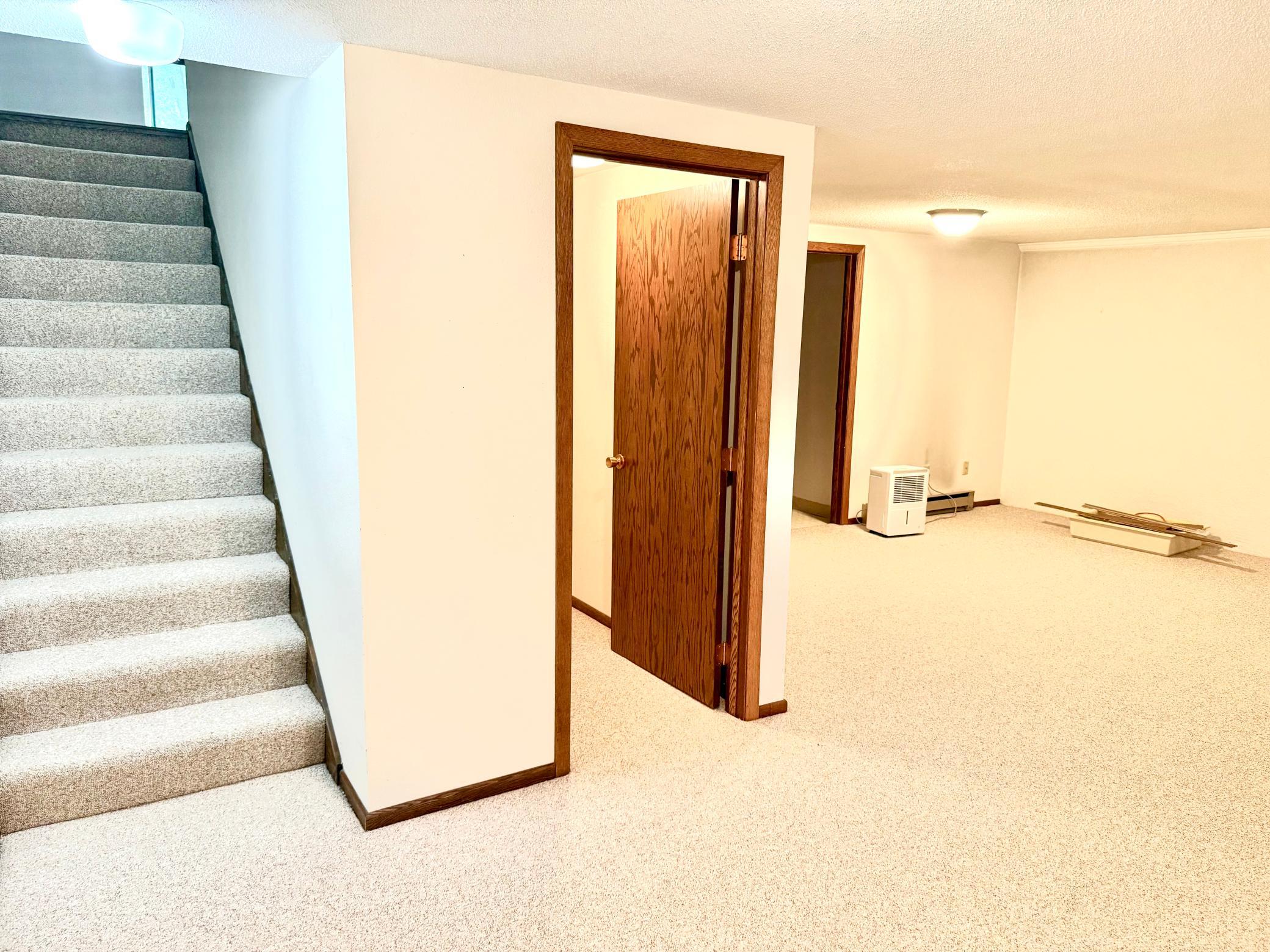 Basement storage closet