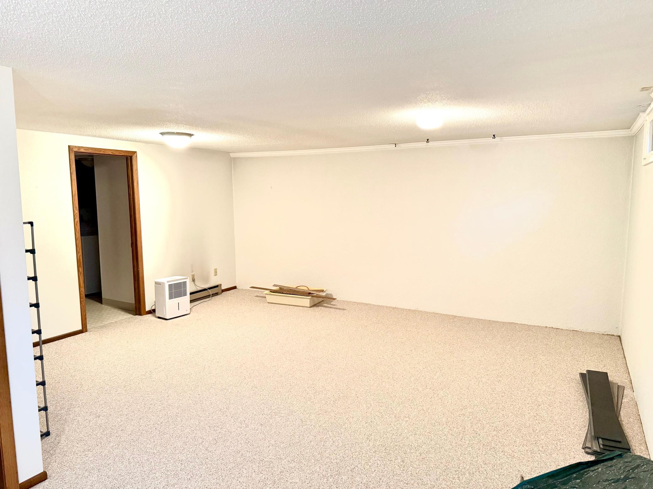 Basement view #1