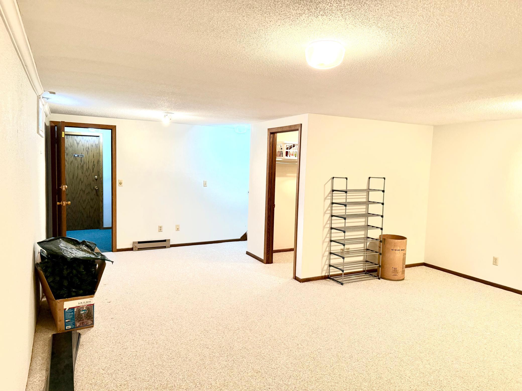 Basement view #2