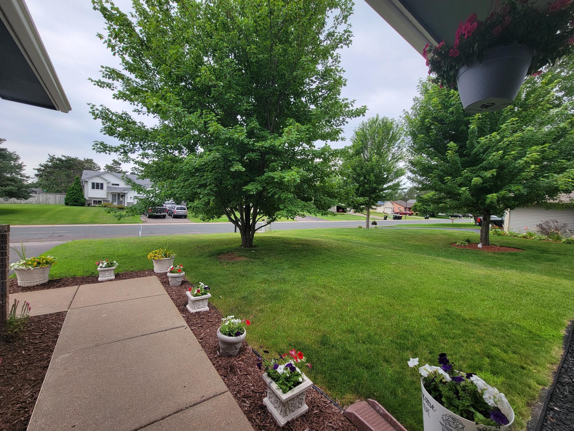 View out the front door