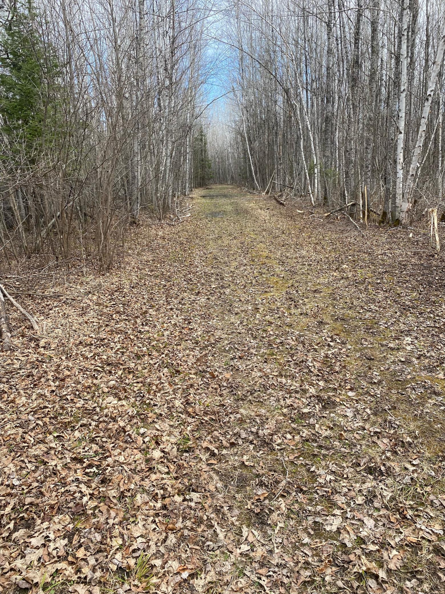 IMG_4036-North Parcel.JPG