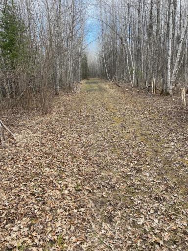 IMG_4036-North Parcel.JPG