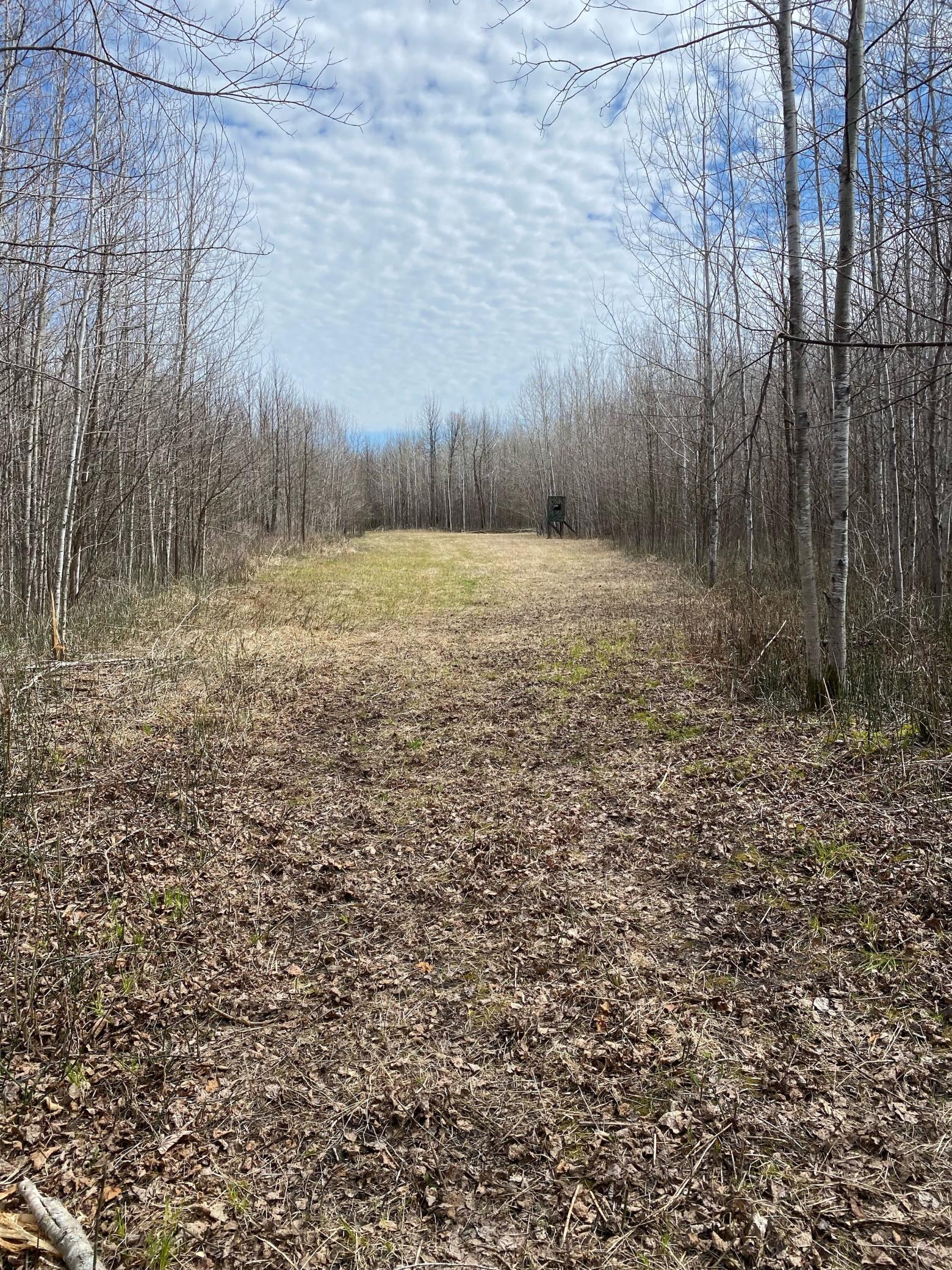 IMG_4035-North Parcel.JPG