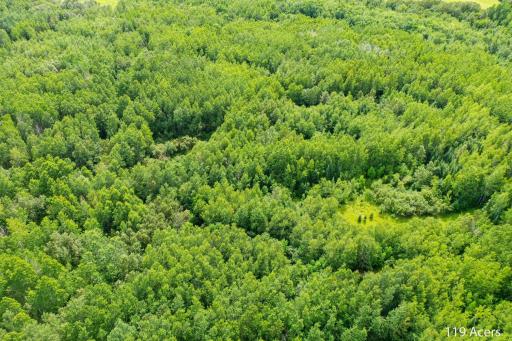 DJI_0619-Edit-Edit-Edit.jpg