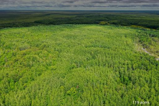 DJI_0620-Edit-Edit-Edit.jpg