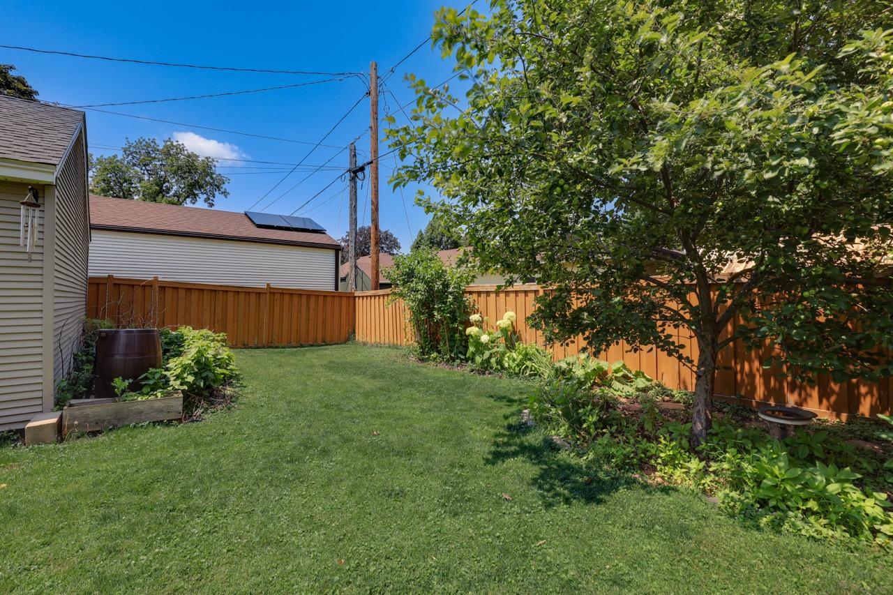 Shot of tucked away part of the backyard with raspberry bushes and beautiful garden landscaping and apple tree