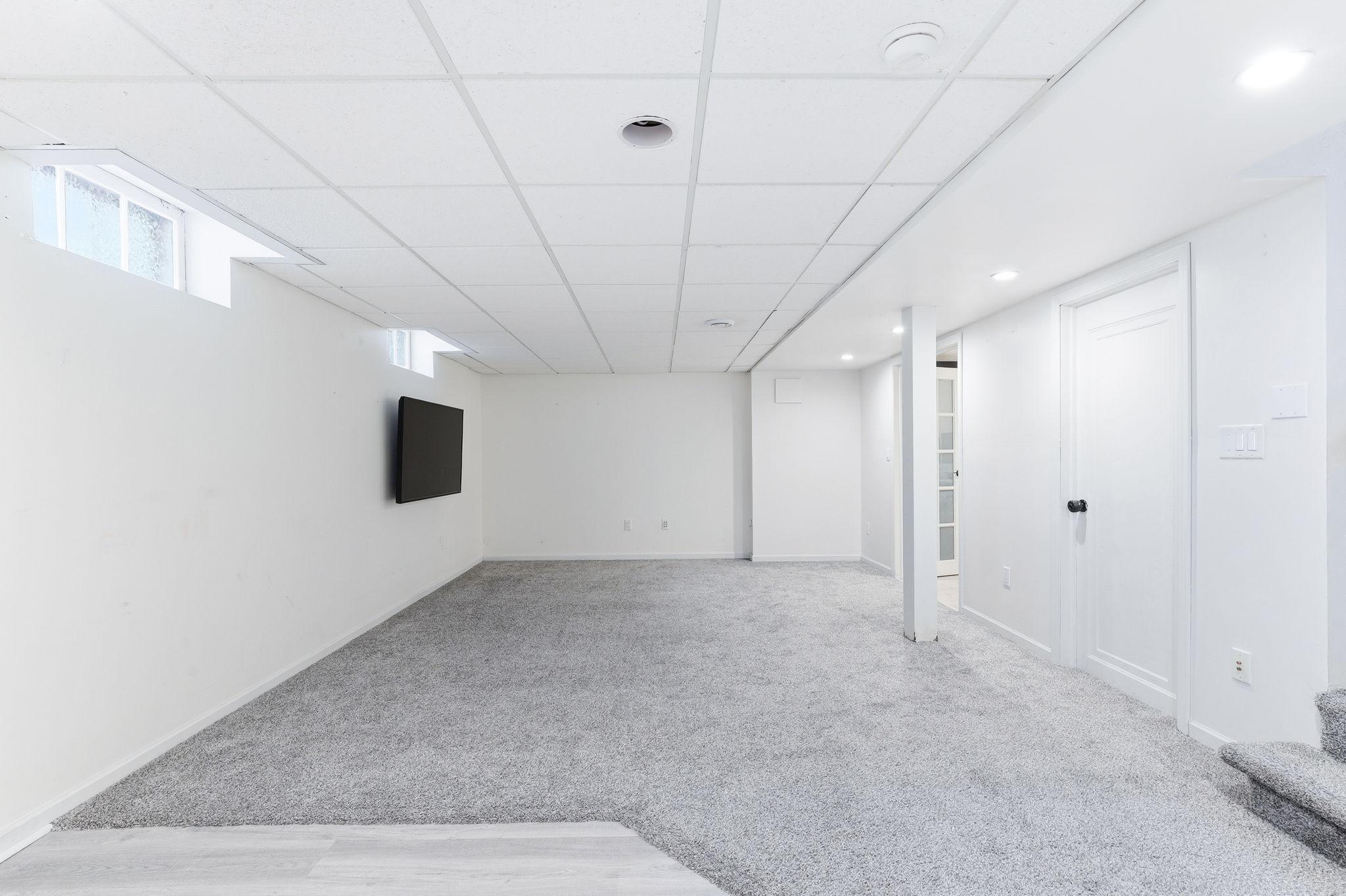 Lower Level Rec Room