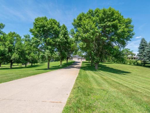 Long concrete driveway, expansive lawn, and mature tree coverage throughout the property.