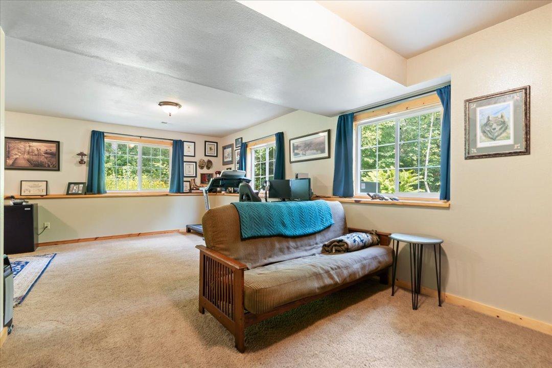 Living Room / Lower Level