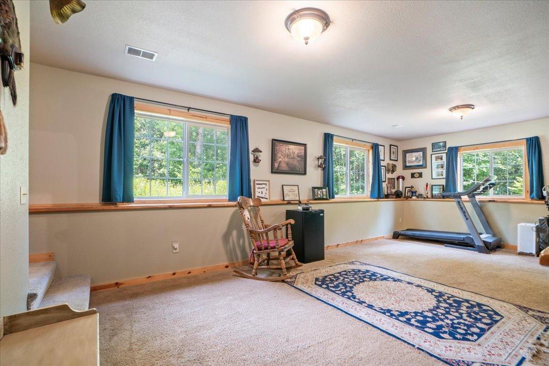 Living Room / Lower Level