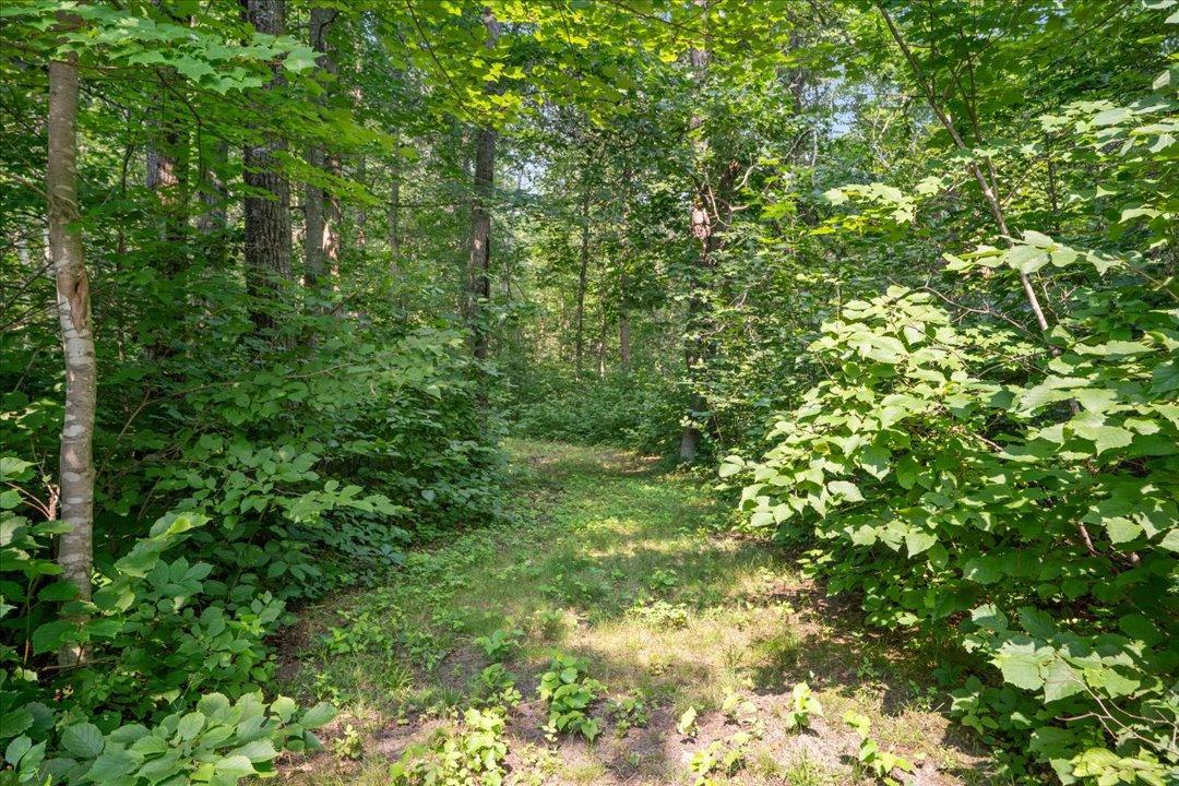 Groomed Walking Trails Throughout the 3.88 acres (Additional 3.88 Acre Lot to the S for $69,900)