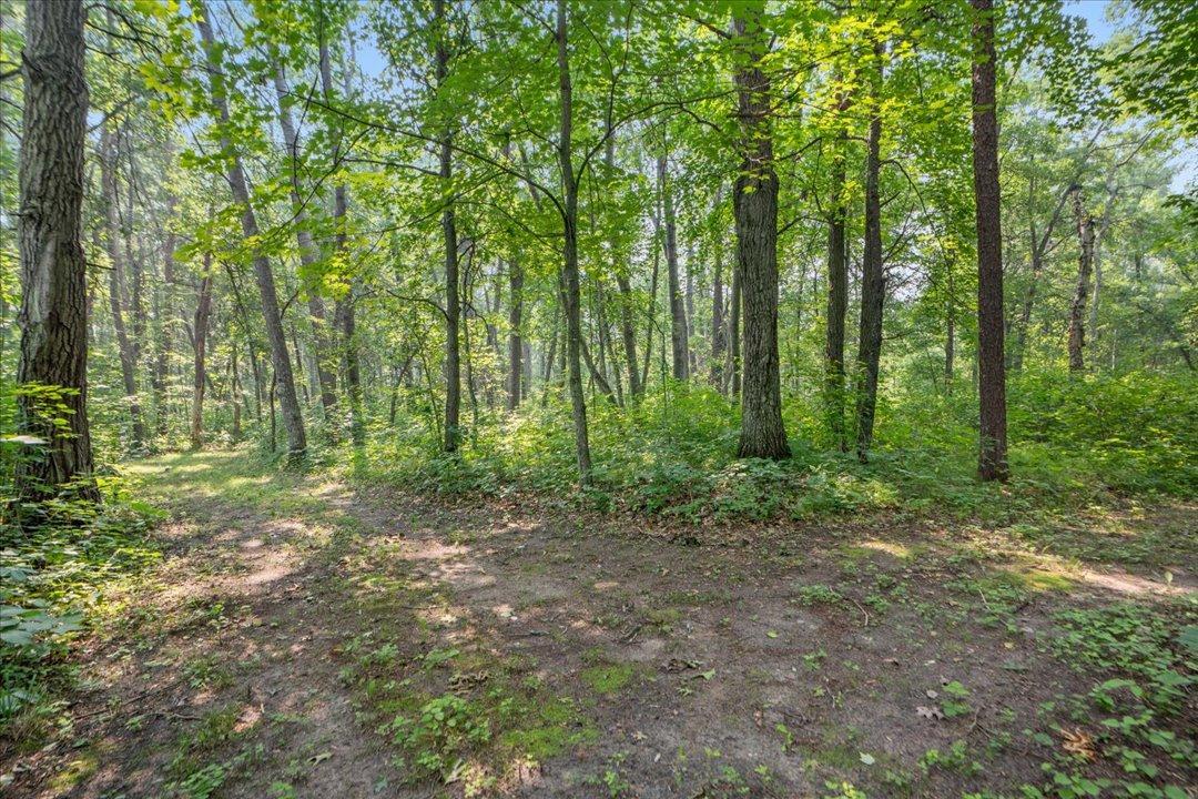 Groomed Walking Trails Throughout the 3.88 acres (Additional 3.88 Acre Lot to the S for $69,900)