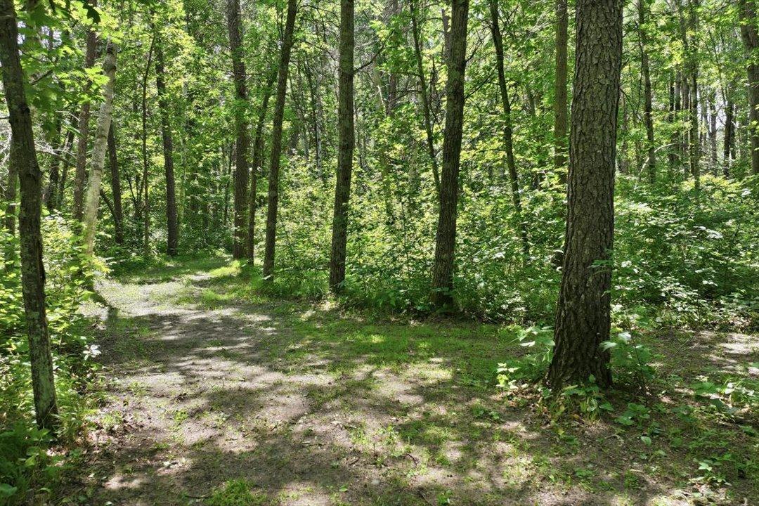 Groomed Walking Trails Throughout the 3.88 acres (Additional 3.88 Acre Lot to the S for $69,900)