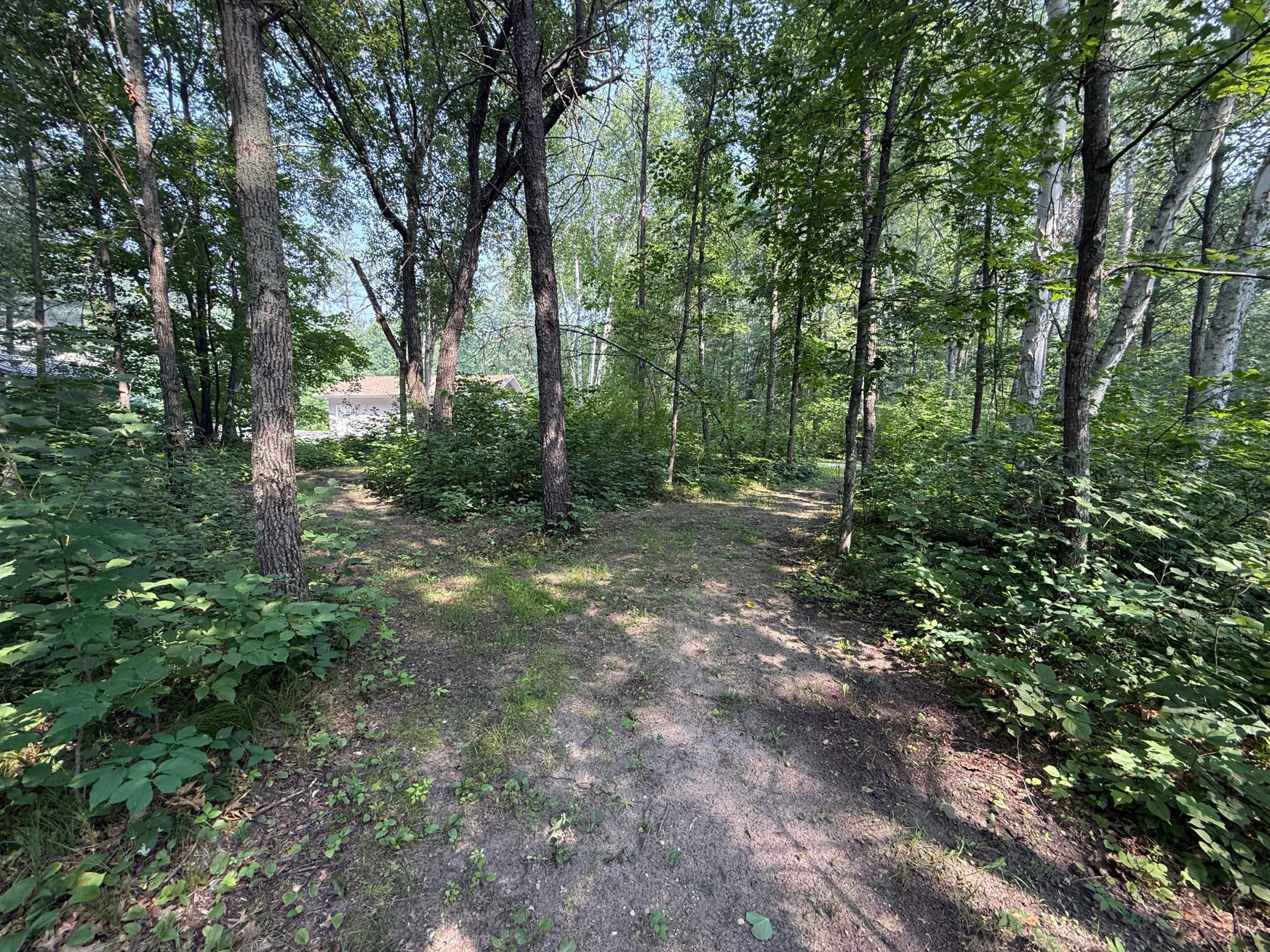 Groomed Walking Trails Throughout the 3.88 acres (Additional 3.88 Acre Lot to the S for $69,900)