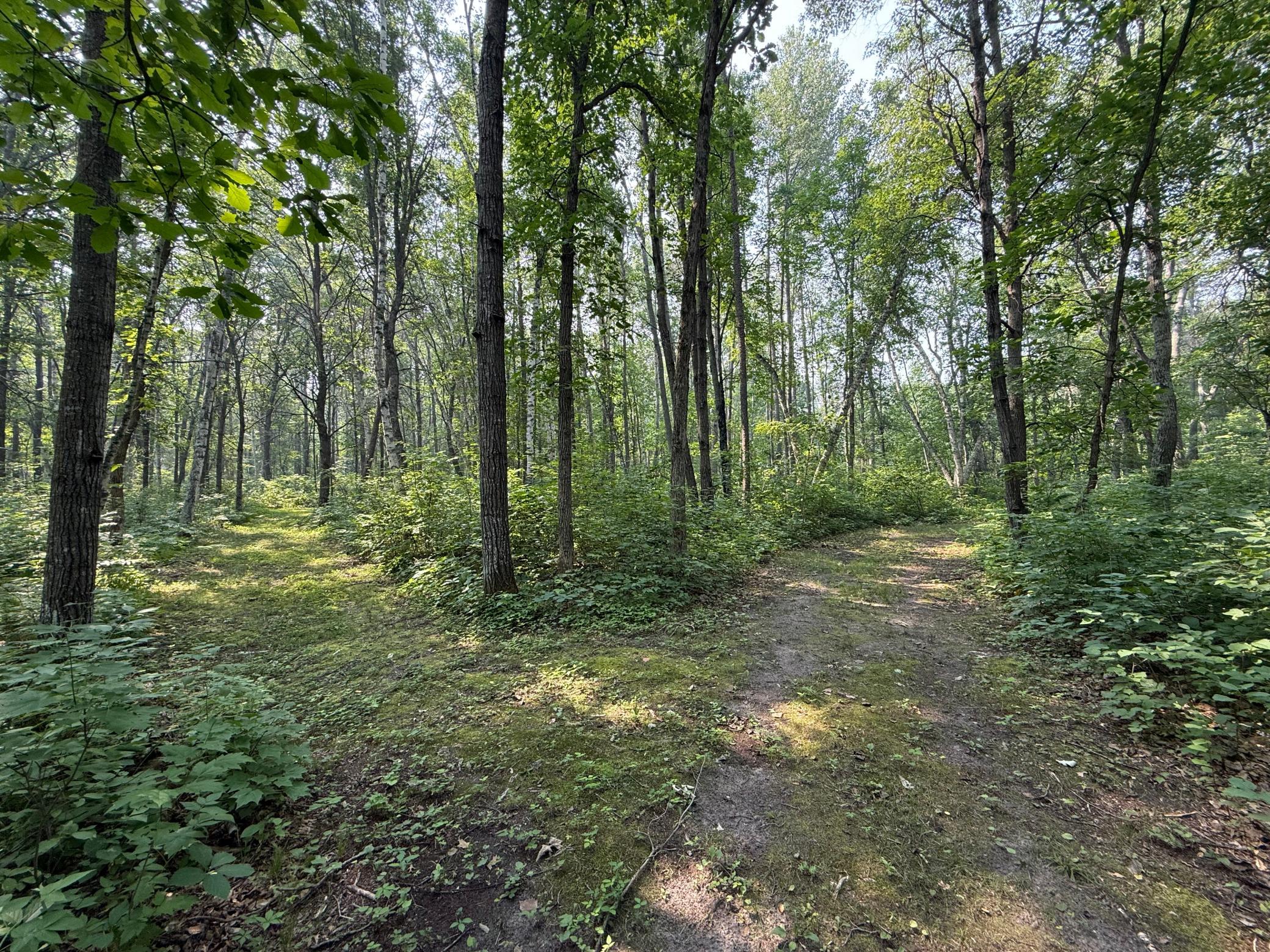 Groomed Walking Trails Throughout the 3.88 acres (Additional 3.88 Acre Lot to the S for $69,900)