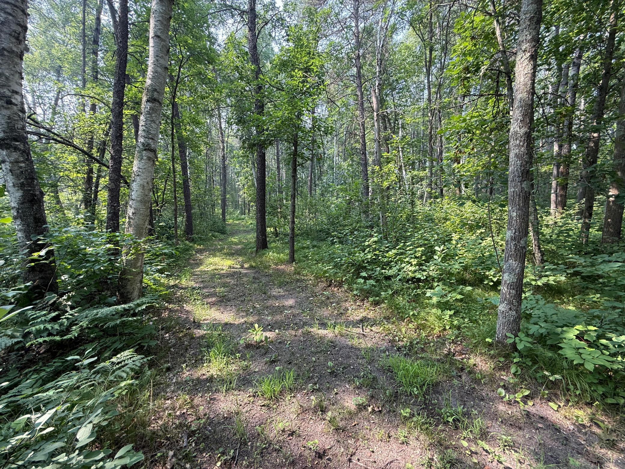 Groomed Walking Trails Throughout the 3.88 acres (Additional 3.88 Acre Lot to the S for $69,900)