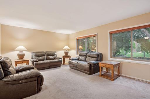 1603 Raindrop Drive, Eagan, MN 55121