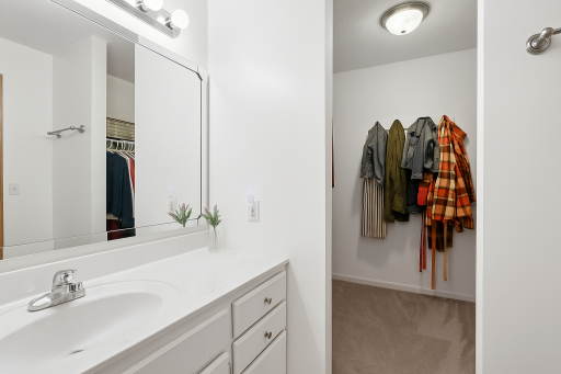 1603 Raindrop Drive, Eagan, MN 55121
