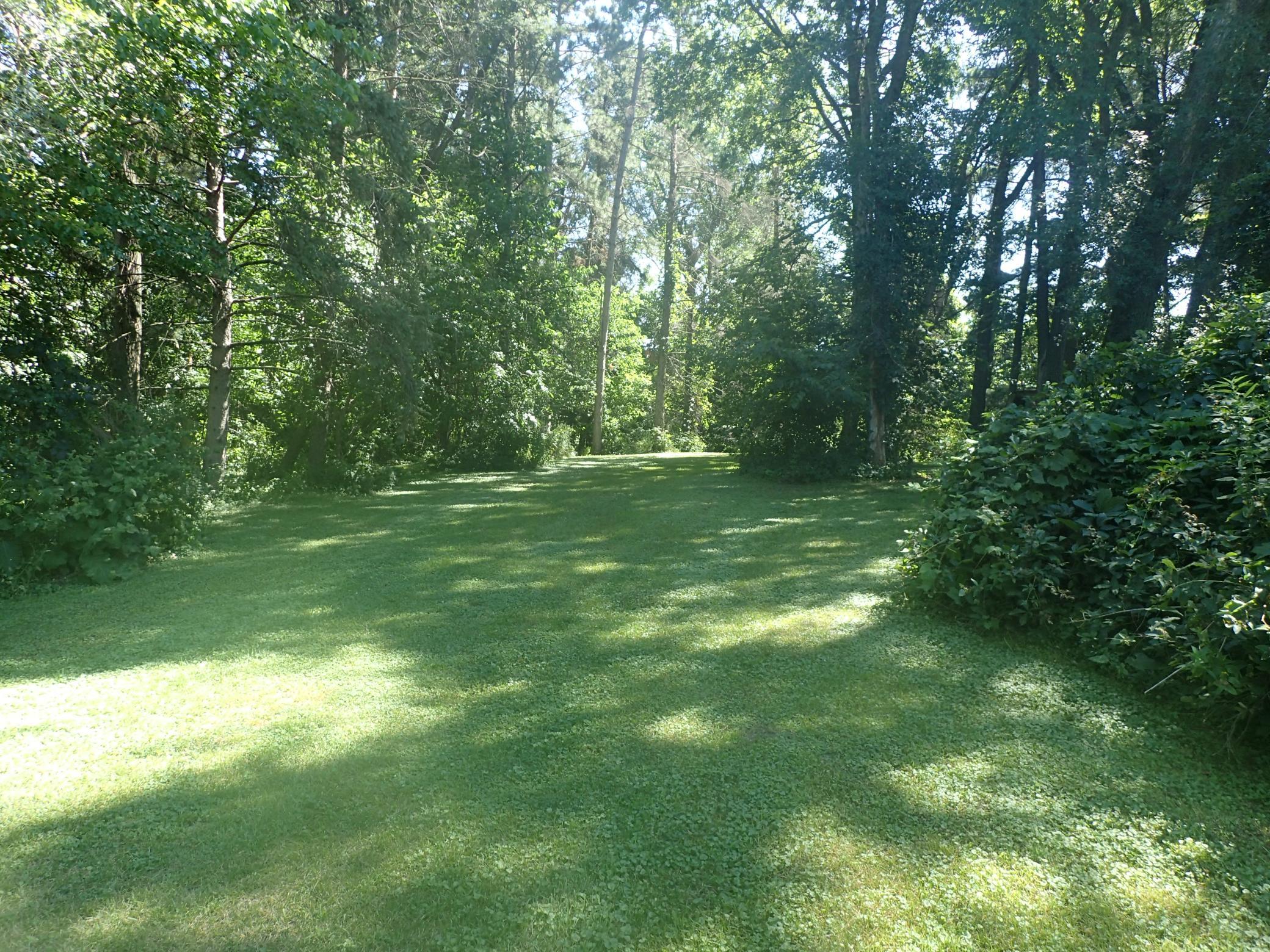 P7130001.JPG