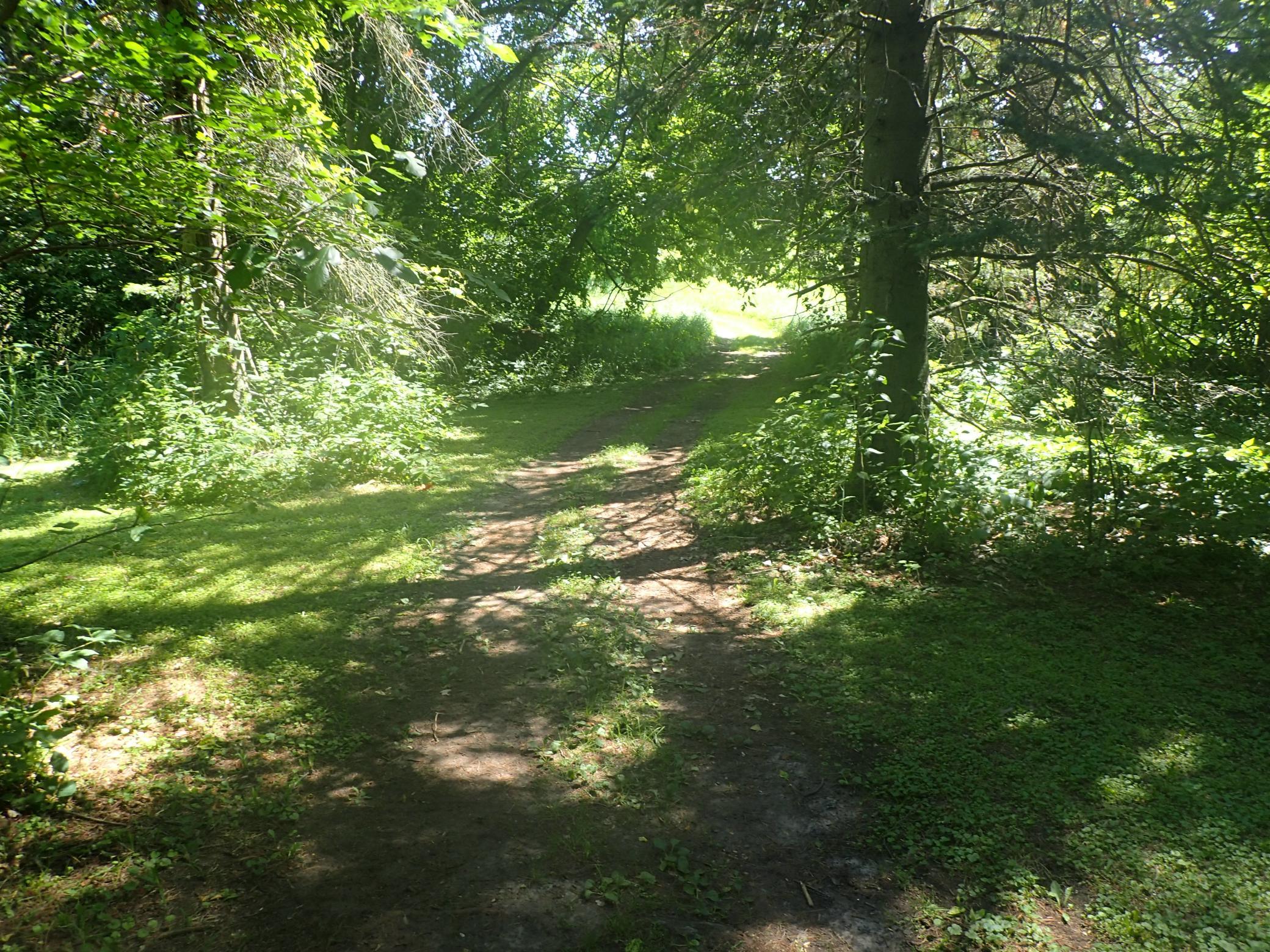 P7130004.JPG