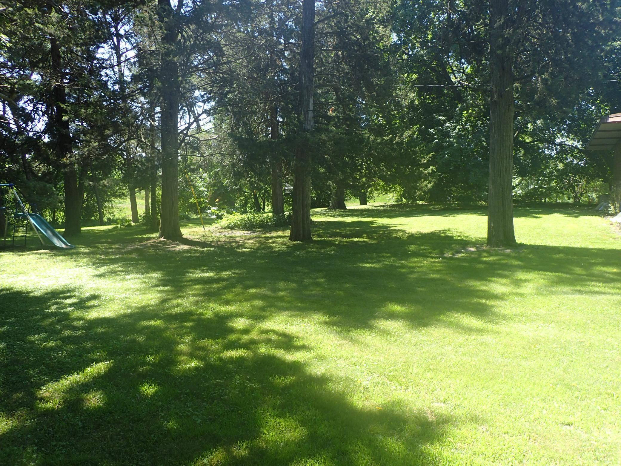 P7130003.JPG