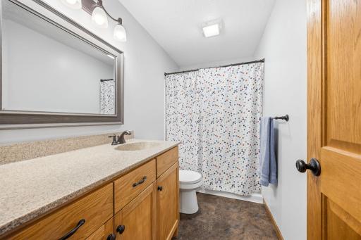 1228 Leo Lane, Buffalo, MN 55313