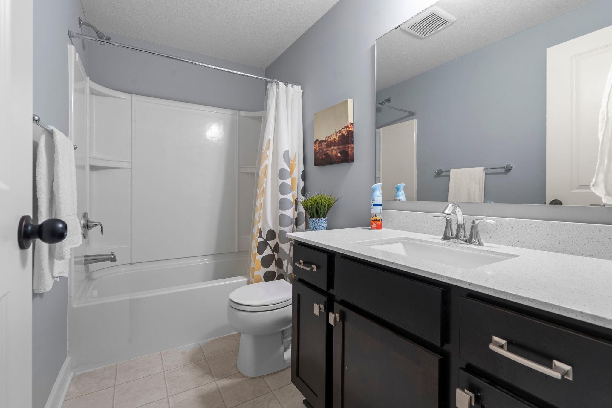 Lower Level Bathroom