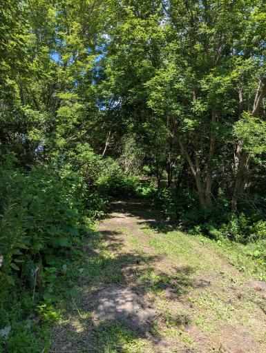 56844 205th Avenue, Dodge Center, MN 55927
